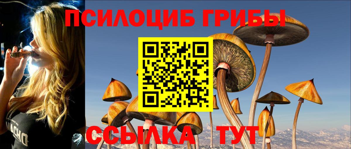 Псилоцибиновые грибы ЛСД  Вход с VPN  Псилоцибиновые грибы мицелий  Новый Уренгой 